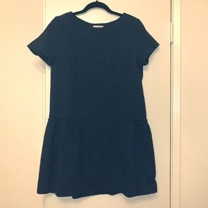 Navy sezane short-sleeve dress with seamed detail